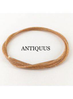 cordes boyau Antiquus